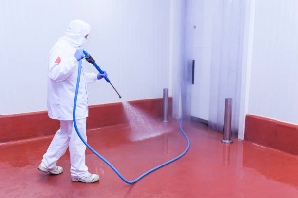 Best Concrete Sealing  in Bella Vista, CA